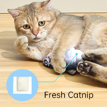 catnip