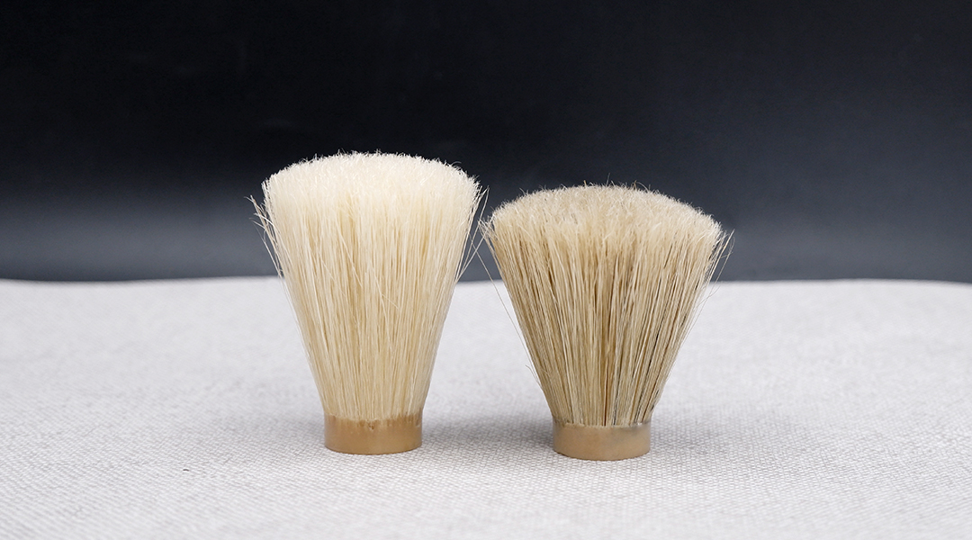 Boar Bristles