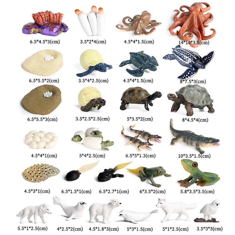 12PCS Safari Animals Figures Toys Different Varieties of Zoo Jungle Animal Toy Set Great Educational Toys for Kids Toddlers