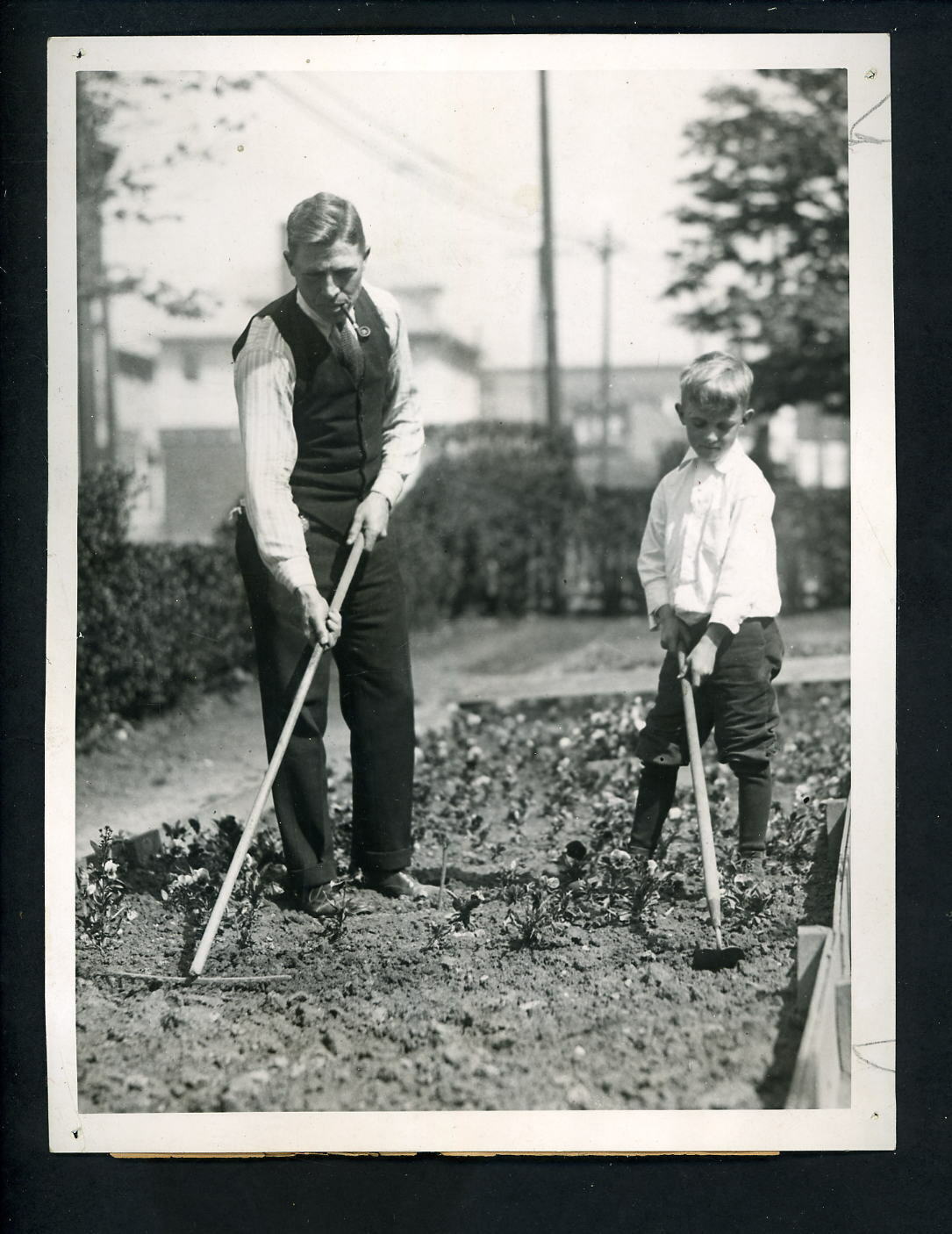 Jimmy Johnston farming in Brooklyn 1921 Type 1 Press Photo Poster painting Brooklyn Dodgers