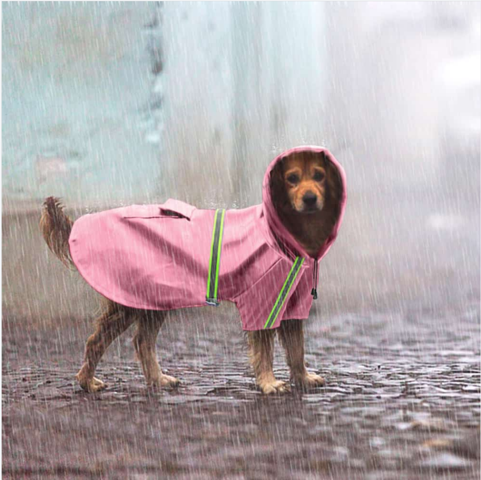 Reflective Dog Raincoat for Big Dogs
