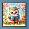 Diamond Painting-DIY Full Round Drill Owl