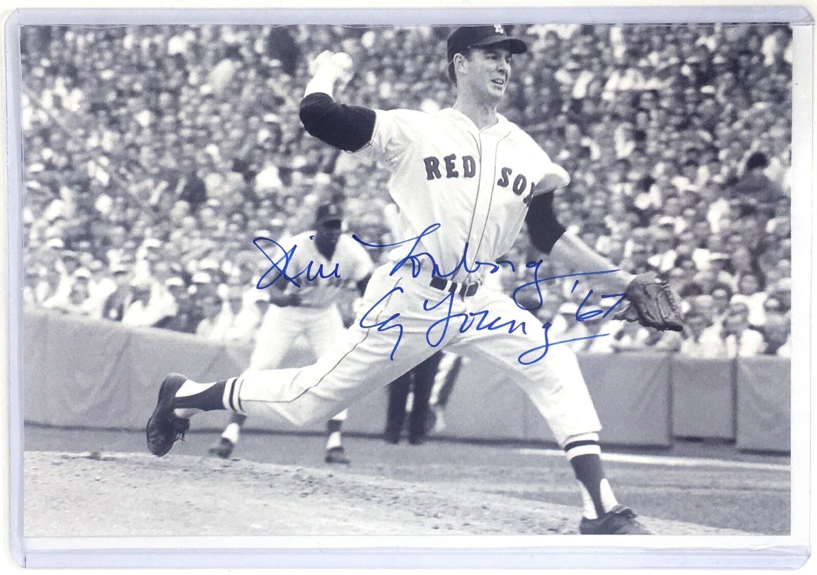 Jim Lonborg Signed 4x6 Photo Poster painting Boston Red Sox Brewers Phillies Autograph Auto