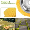 8 Inch Weed Brush Mowing Head Nylon Wire Wheel Trimmer Head for Brush Cutter