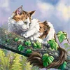 5D DIY Full Square Drill Diamond Painting Cat Kit Home Decoration Art 45x45cm