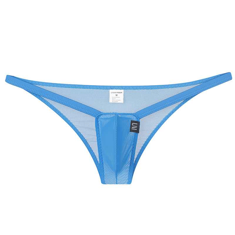 Men's Sexy Low Waist Mesh Transparent Briefs
