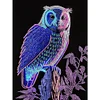 >SALE<5D DIY Partial Special Shaped Drill Diamond Painting Kit Owl Home Decor (LY012)