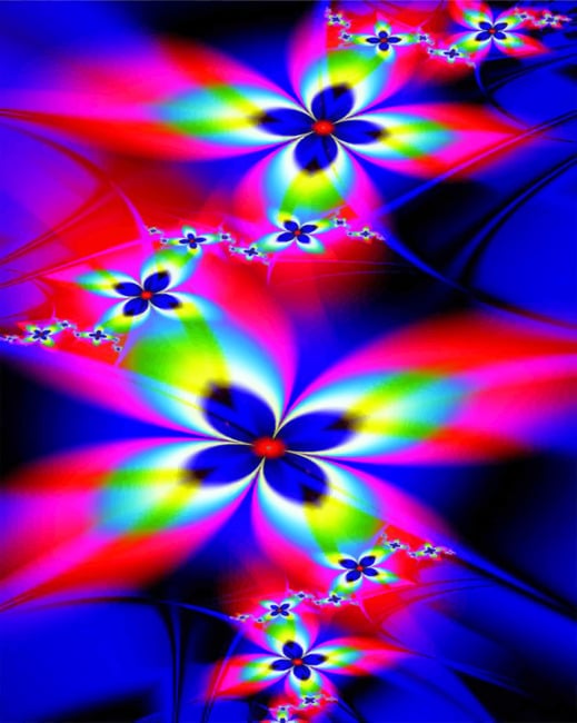 

Colorful Flowers – Abstract Paint By Numbers - 40*50CM, 501 Original