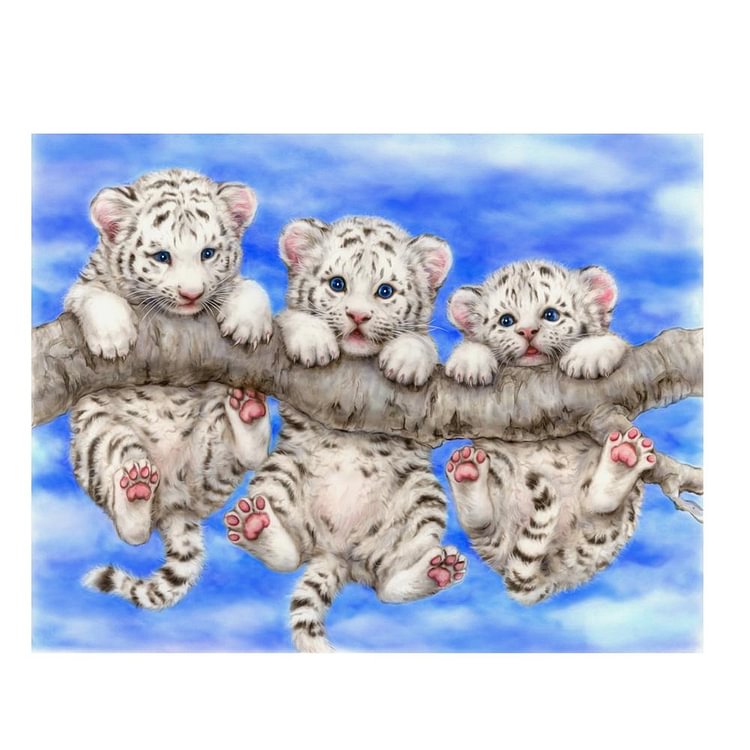 Peinture de diamant - ronde partielle - bébé de trois tigres