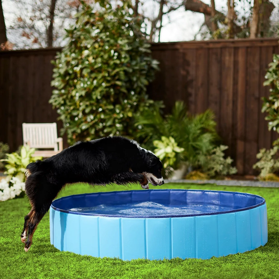 Foldable Dog Pet Bath Pool
