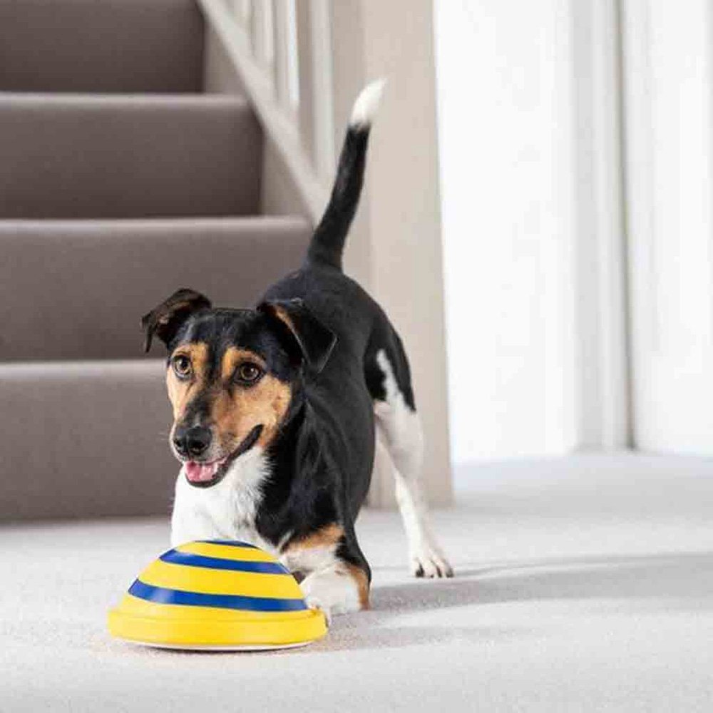 Woof Glider Dog Toy