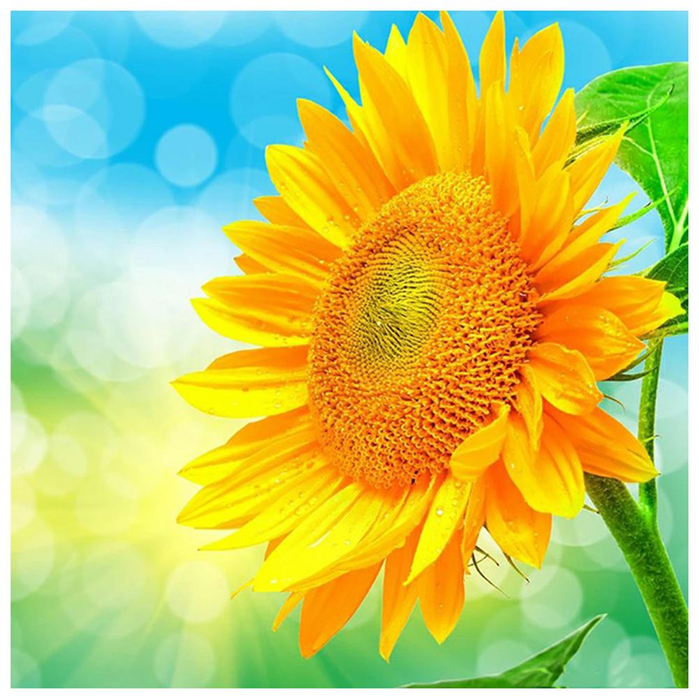 

Flower - Round Drill Diamond Painting - 30*30CM, 501 Original