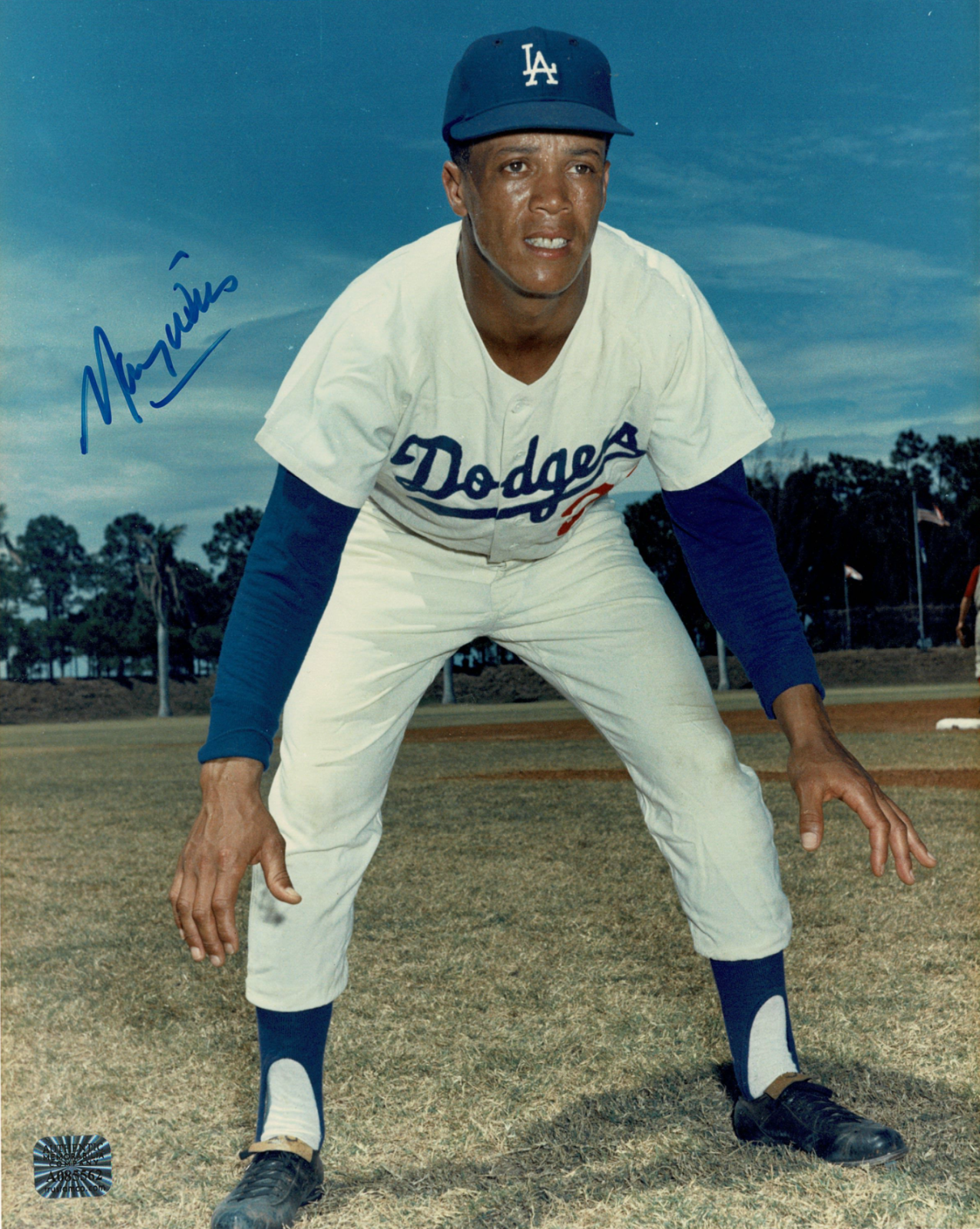 Maury Wills signed autographed 8x10 Photo Poster painting! RARE! AMCo Authenticated! 9945