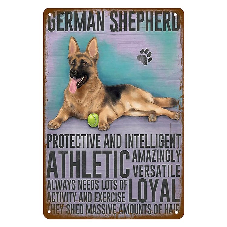 German Shepherd Athletic Loyal - Vintage Tin Signs/Wooden Signs - 7.9x11.8in & 11.8x15.7in