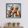 Naughty Cats-Full Square Diamond Painting 40*40CM