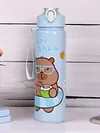700ml Capybara Cute Water Cup with Straw & Handle Travel Water Bottle for Sports