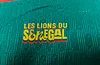 Senegal 2026 Away  player Version World Cup Leaked 