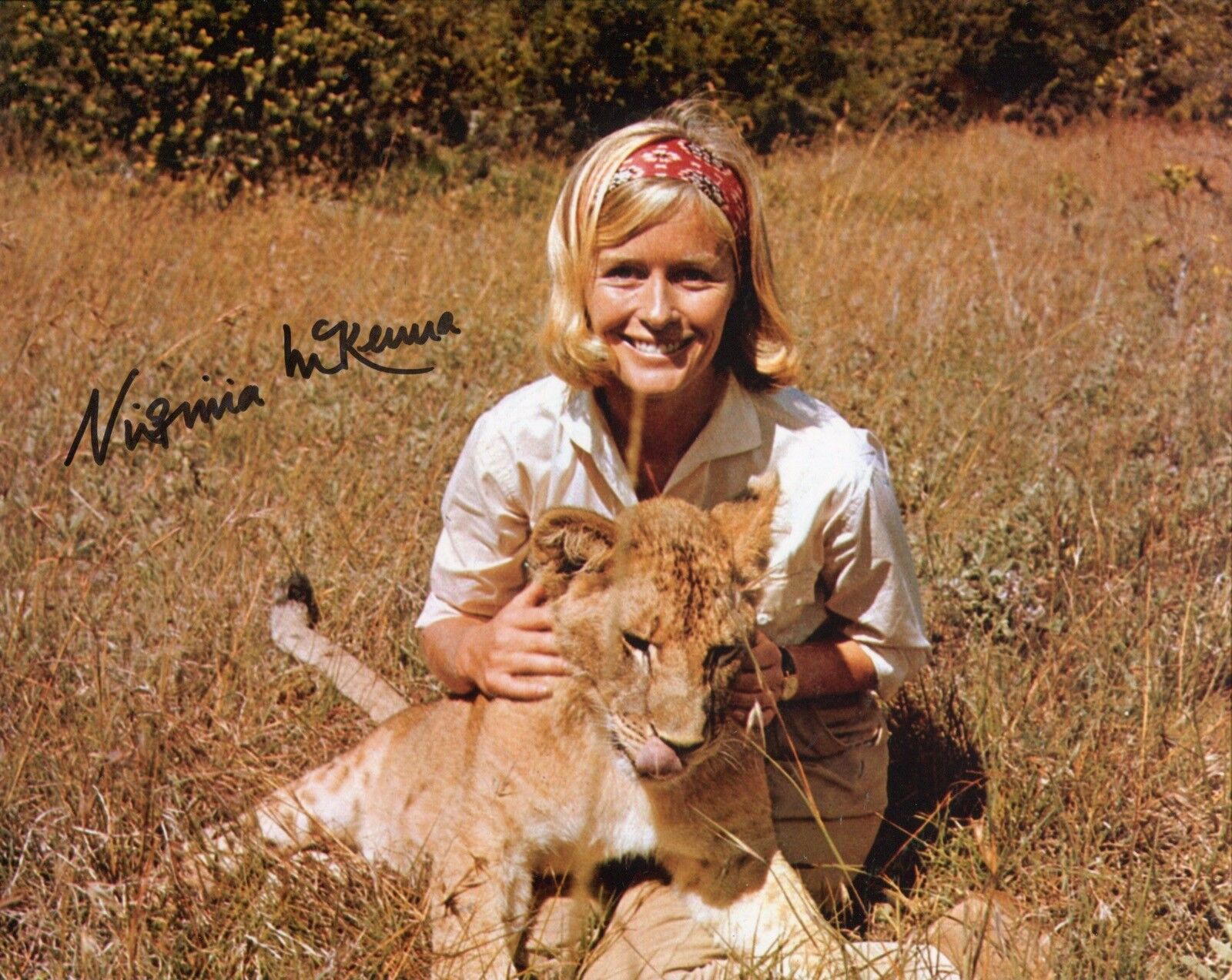 BORN  movie 8x10 Photo Poster painting signed by Virginia McKenna with PROOF! UACC DEALER