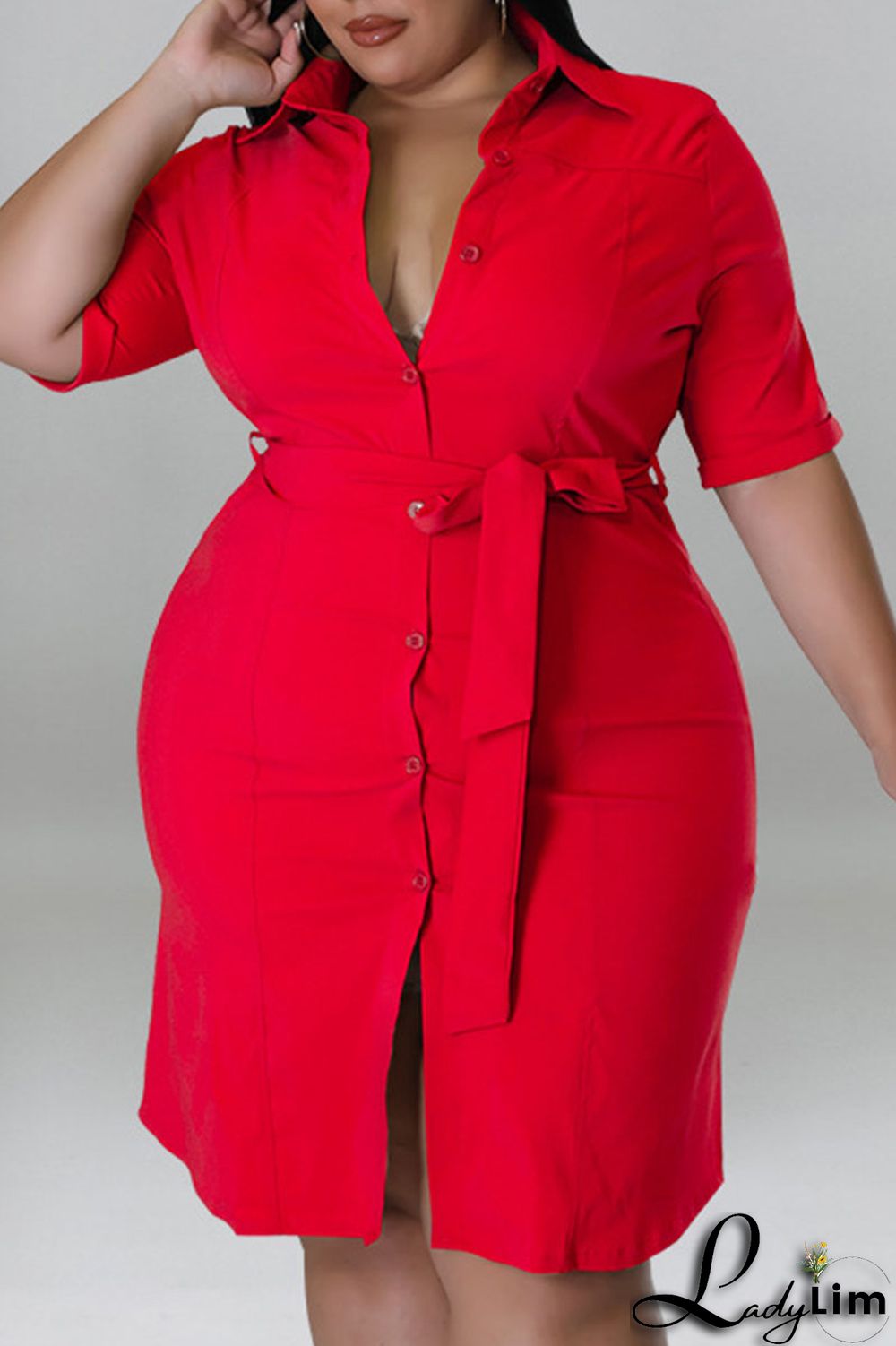 Black Casual Solid Patchwork Buckle Turndown Collar Straight Plus Size Dresses