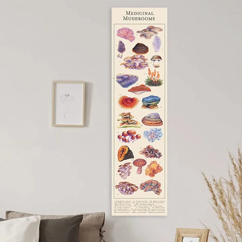 Mushroom Tapestry medicinal Mushroom Wall Hanging Vertical Tapestry Illustrative Reference Chart Tapestry Wall Hanging for Room