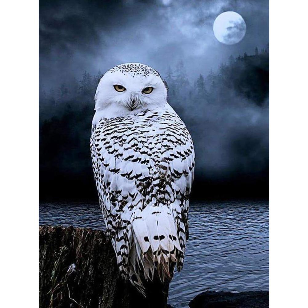 

30*40CM -Round Drill Diamond Painting - Moon Owl, 501 Original