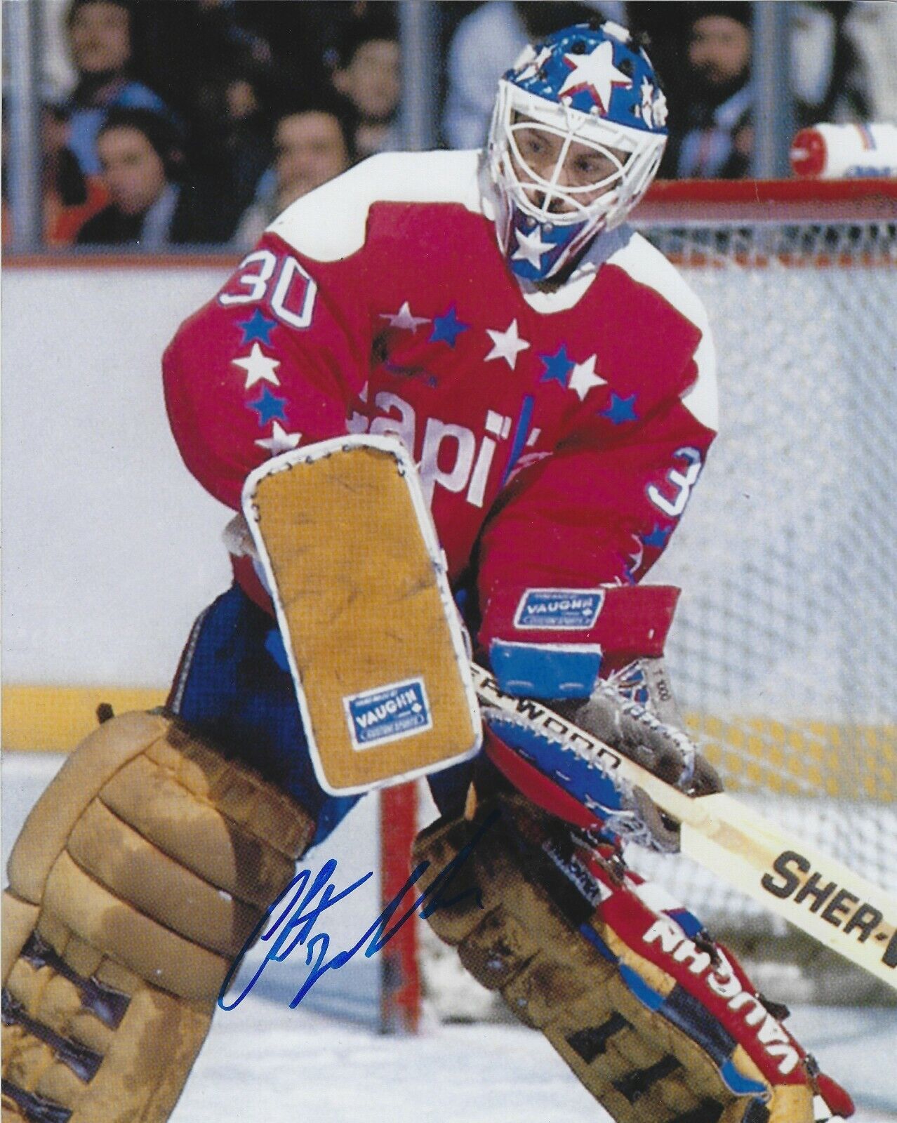 Autographed CLINT MALARCHUK Washington Capitals 8x10 Photo Poster painting - COA