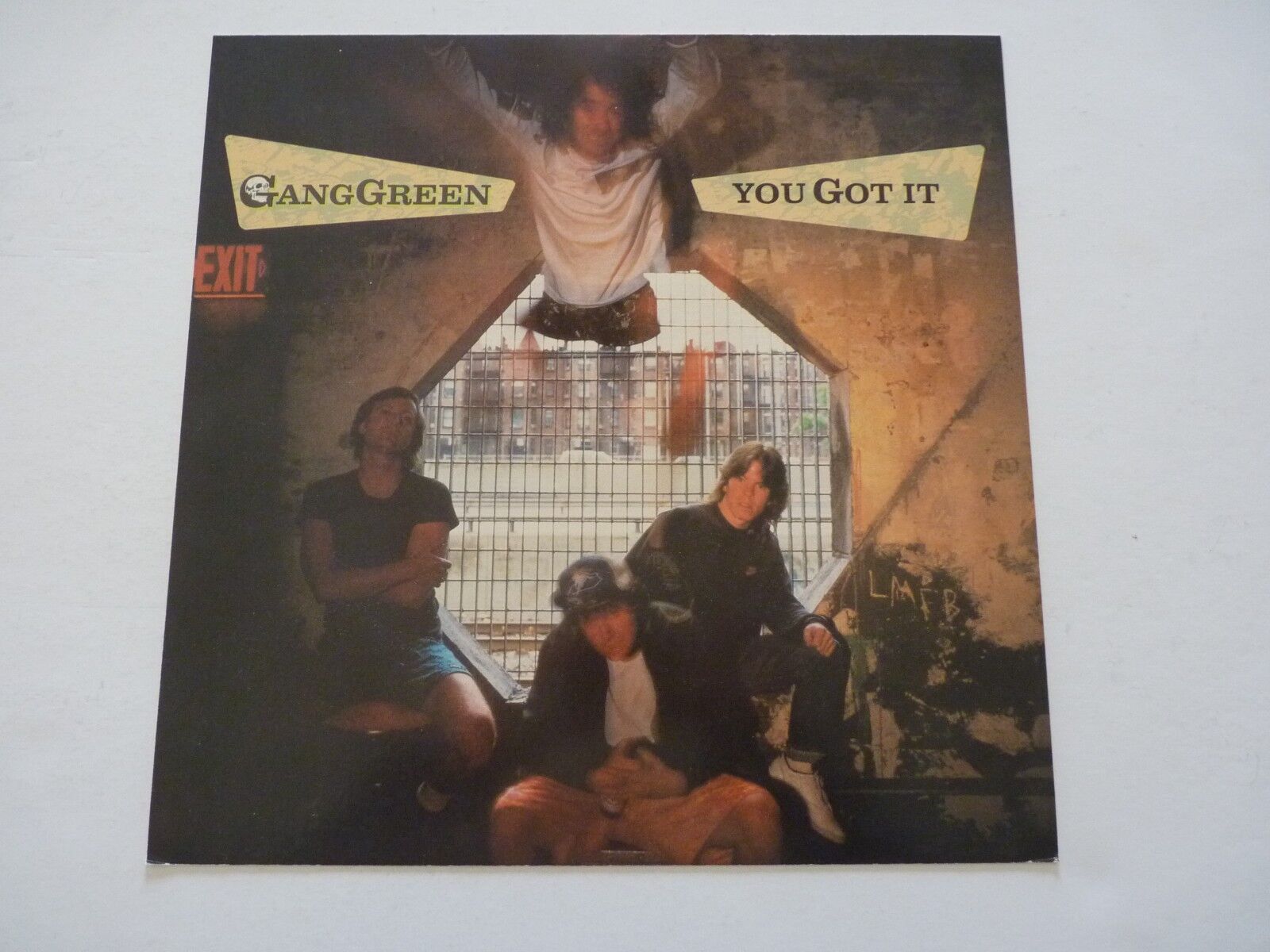 Gang Green You Got It Promo LP Record Photo Poster painting Flat 12x12 Poster