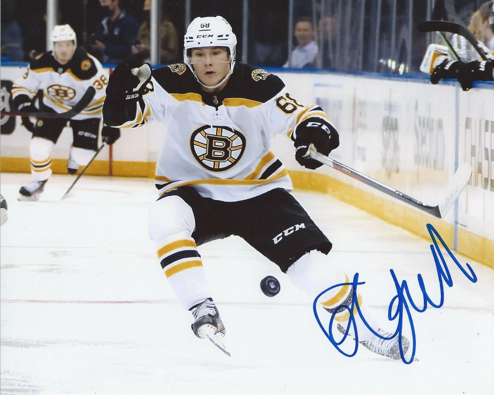 Fabian Lysell Signed 8x10 Photo Poster painting Boston Bruins Autographed COA C