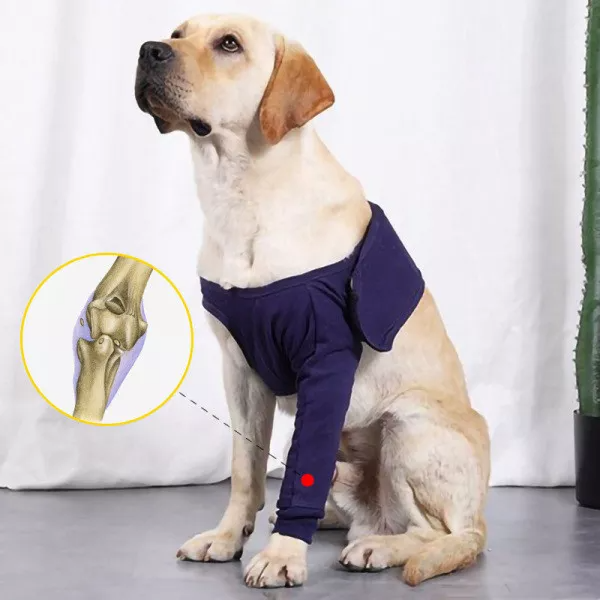 Dog Leg Sleeve for Anti-Licking AntiDirt