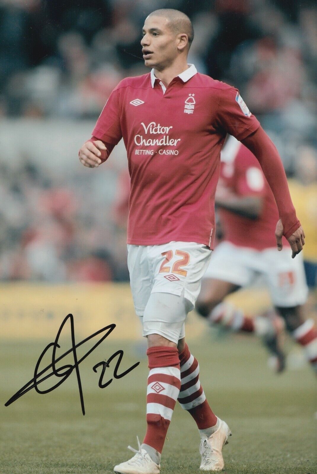 Adlene Guedioura Hand Signed 12x8 Photo Poster painting - Nottingham Forest 1.