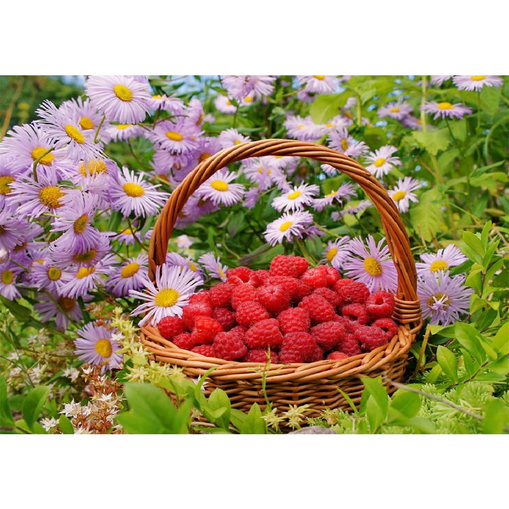 

Raspberry - Round Drill Diamond Painting - 30*40CM, 501 Original