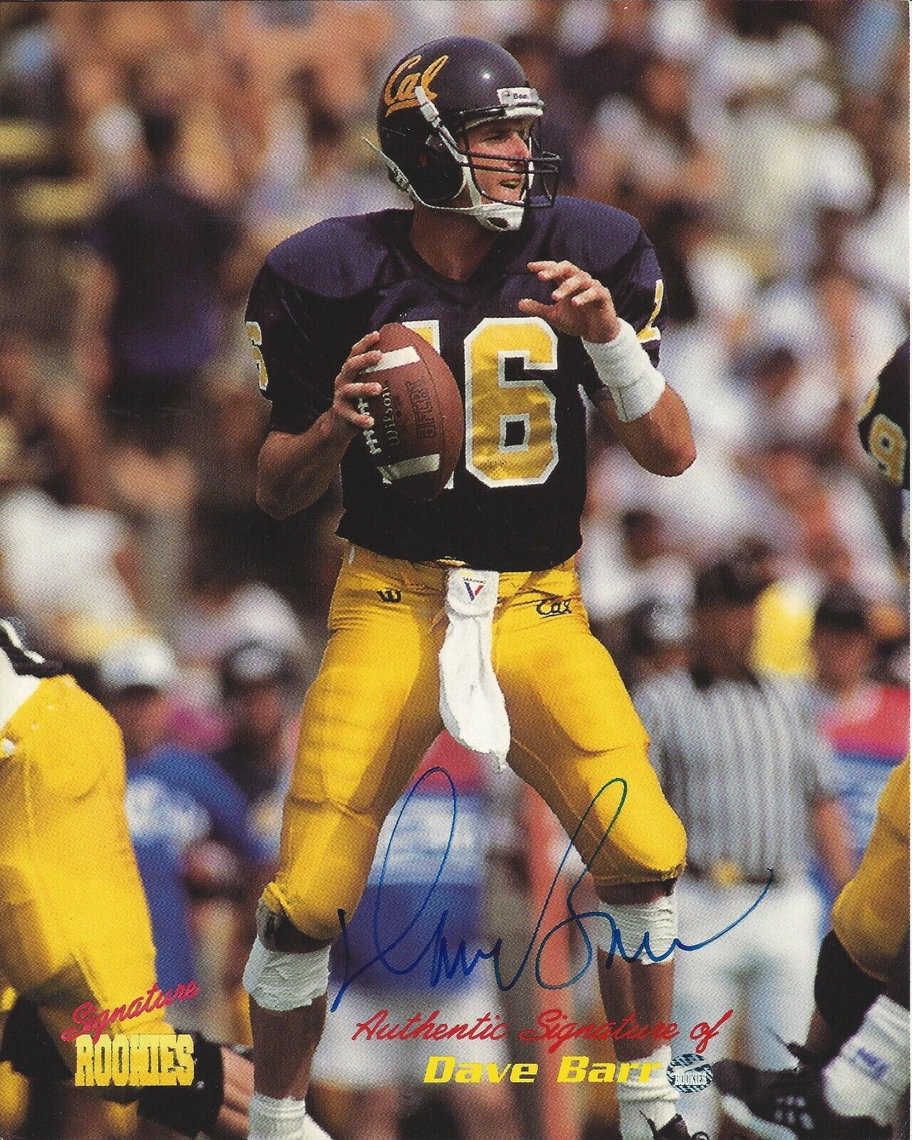 Dave Barr Autographed 8x10 Cal Signature RookiesB423