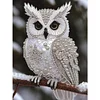 Pearl Owl on Branch-Special Shaped Diamond Painting