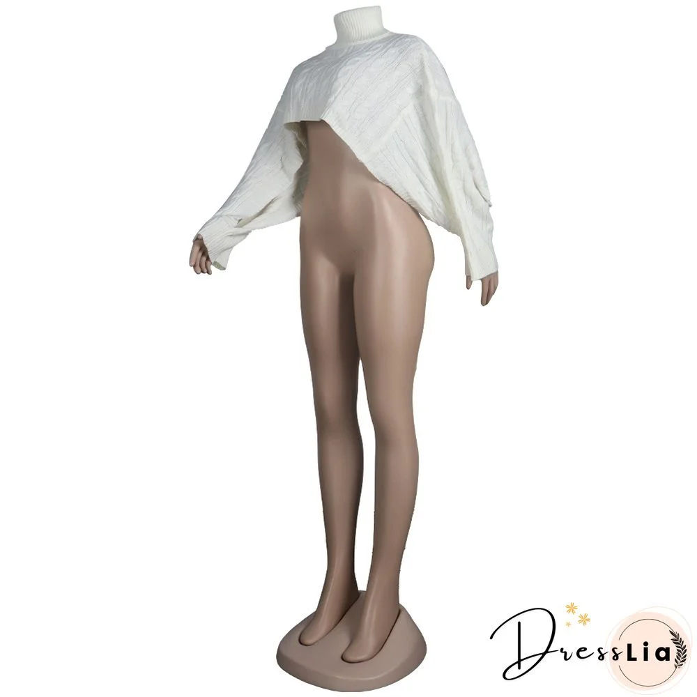 Solid Color Turtleneck Bat Sleeve Sweater Crop Top