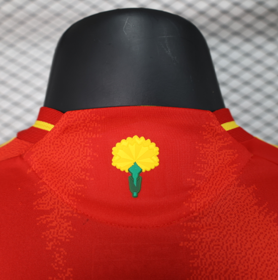2024 Spain Home Player Version Men's Football T-Shirt Thai Quality