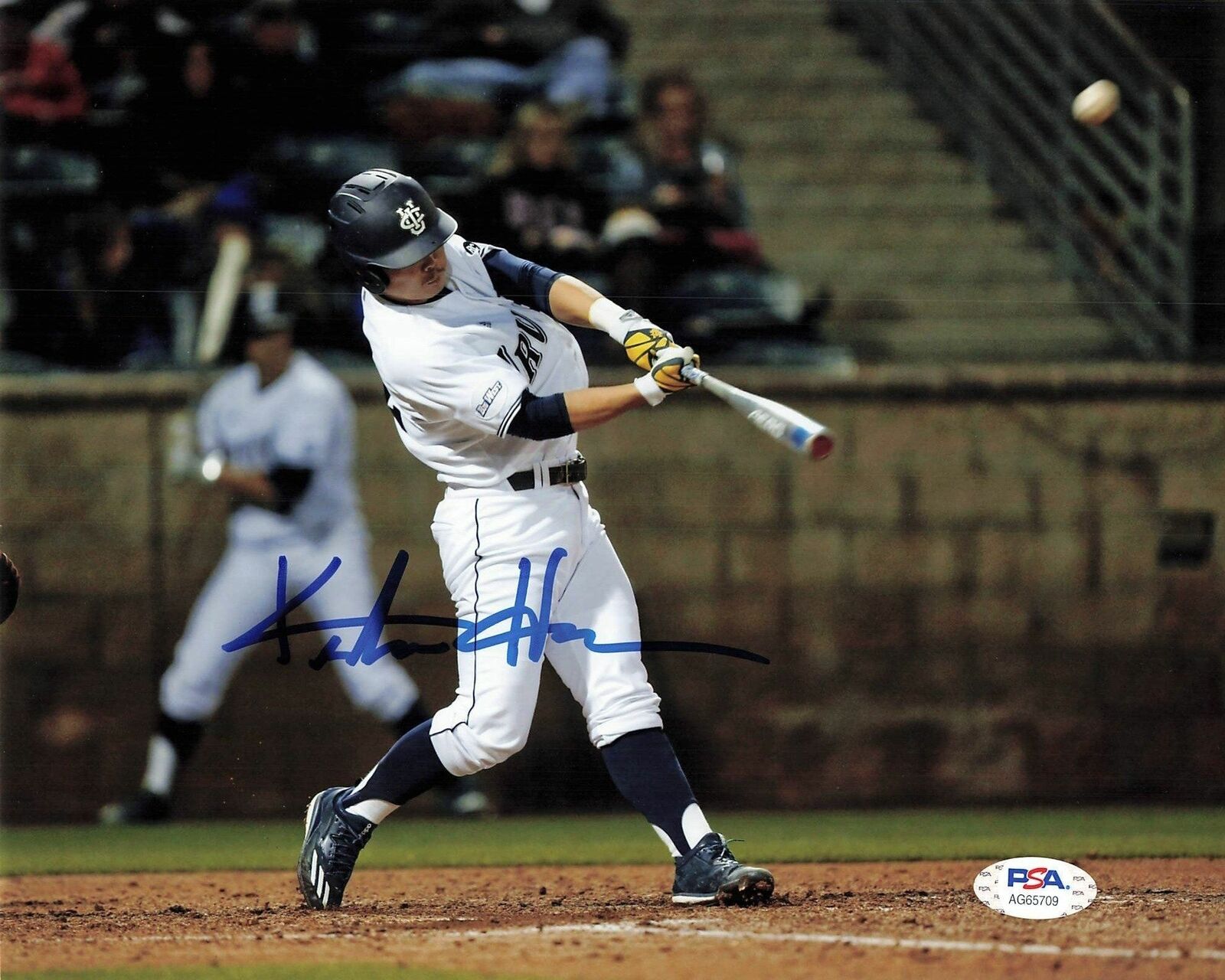 Keston Hiura signed 8x10 Photo Poster painting PSA/DNA Milwaukee Brewers Autographed