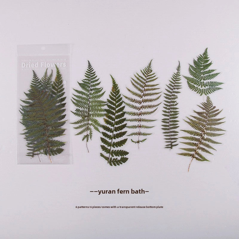 Women’s Mid-waist Pure Cotton Underpants Graphene Antibacterial Coating Ladies Briefs Comfortable Breathable Innerwear