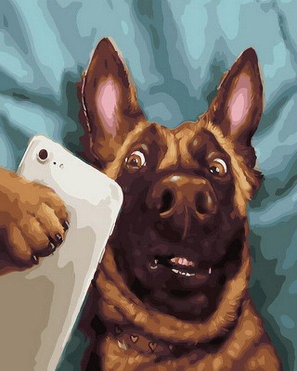 

Dog Take A Selfie – Paint By Numbers - 40*50CM, 501 Original
