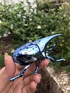 Clockwork beetle toy insect beetle simulation animal rhinoceros beetle electroplating mechanical model