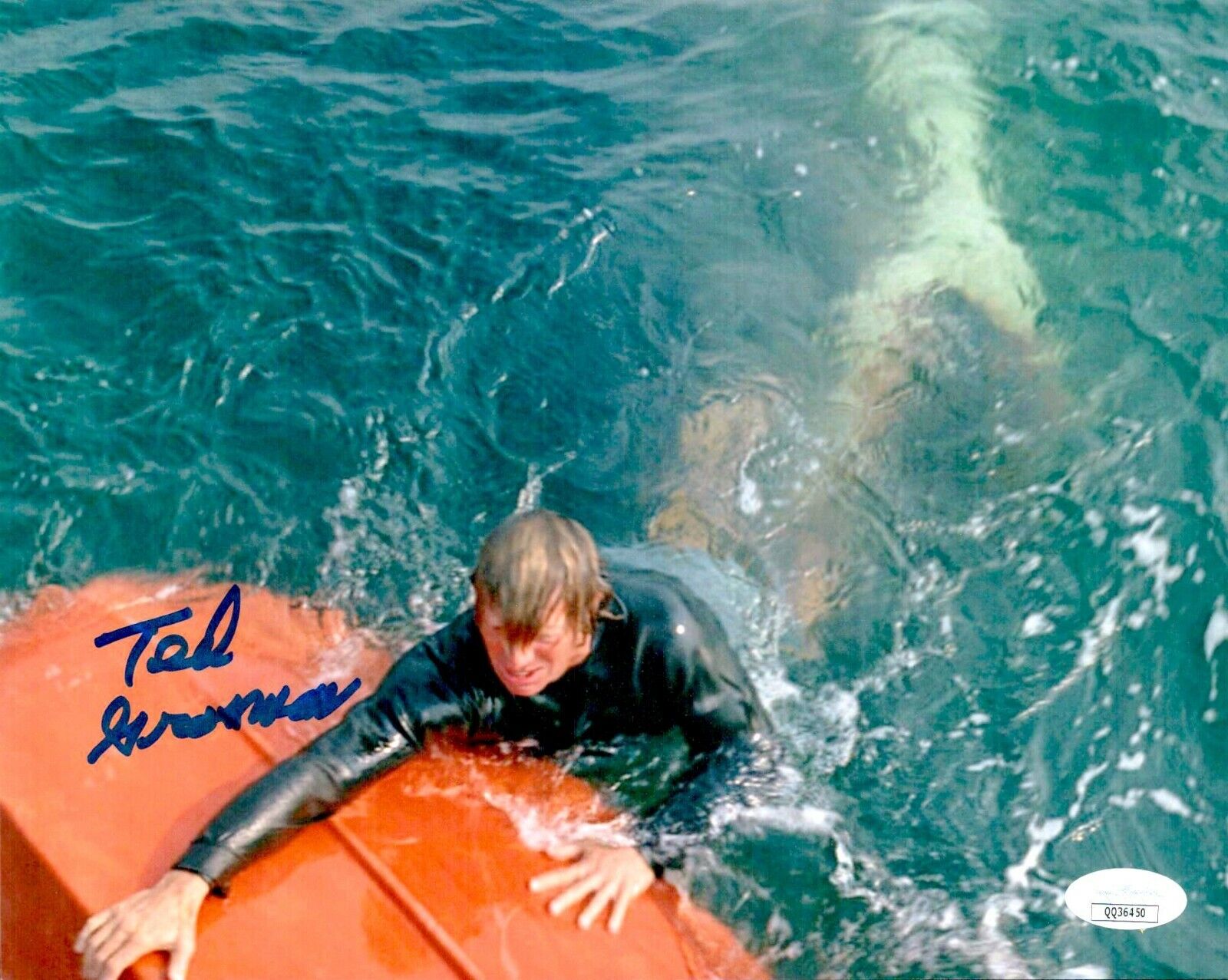 TED GROSSMAN Signed 8x10 Photo Poster painting JAWS GOONIES In-Person Autograph JSA COA Cert