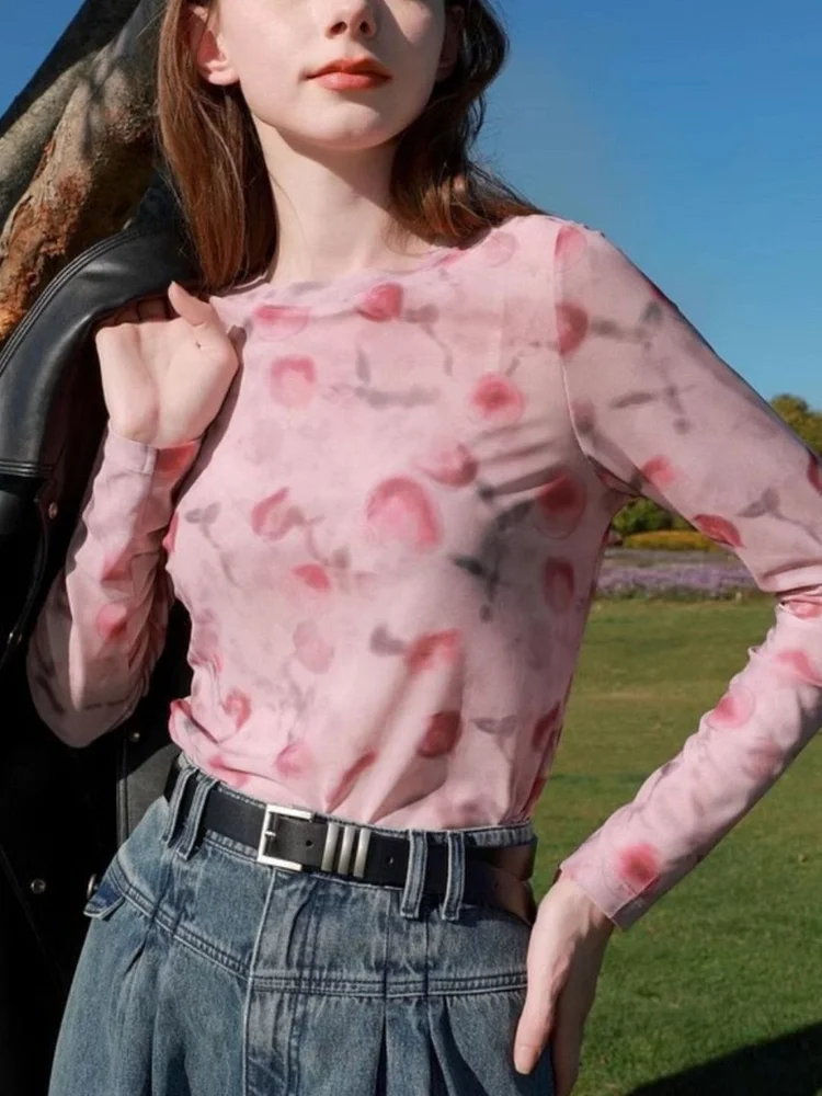 Mesh Printed T-shirt Long Sleeve Top