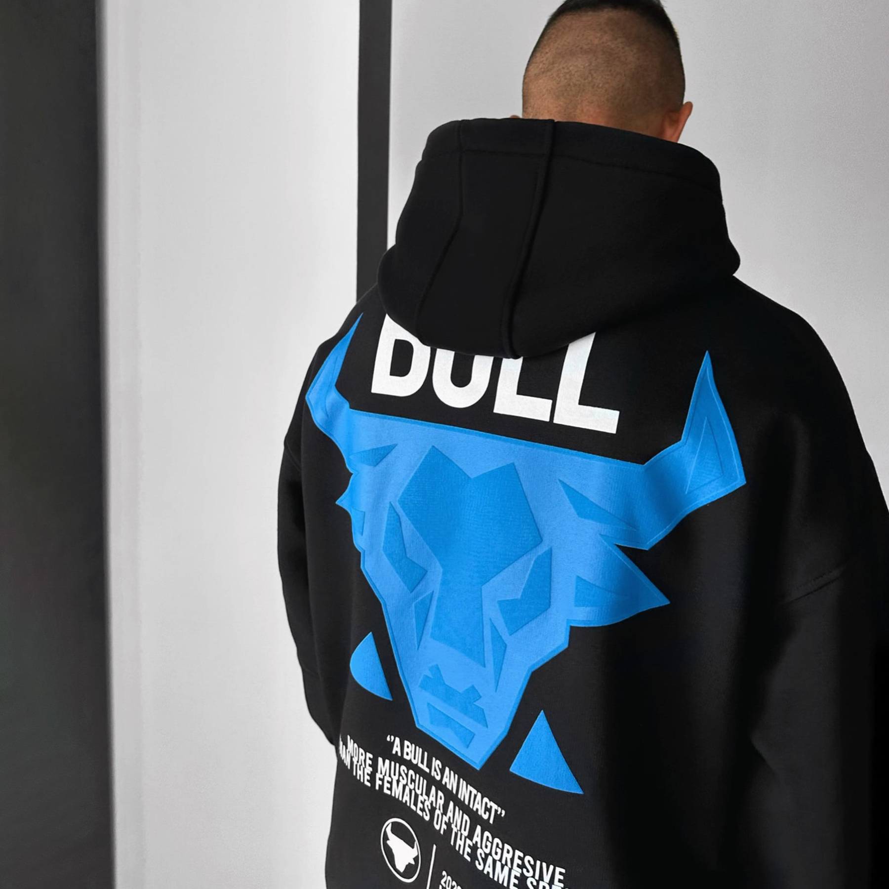 Oversize Bull Hoodie   E6ab83bc45a455f4f9b3b9cfd03ad32a 