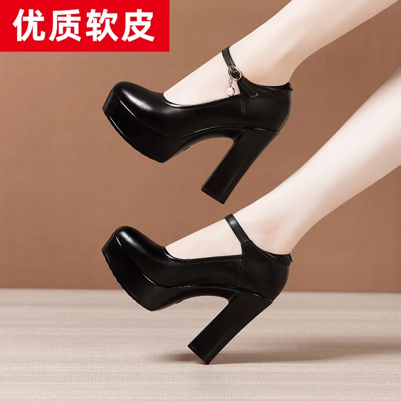 Yyvonne Ultra-High Heels Catwalk High Heels Women's Thick Heels Thick-Soled Waterproof Platform Round Head Large Size Cheongsam Show Shoes