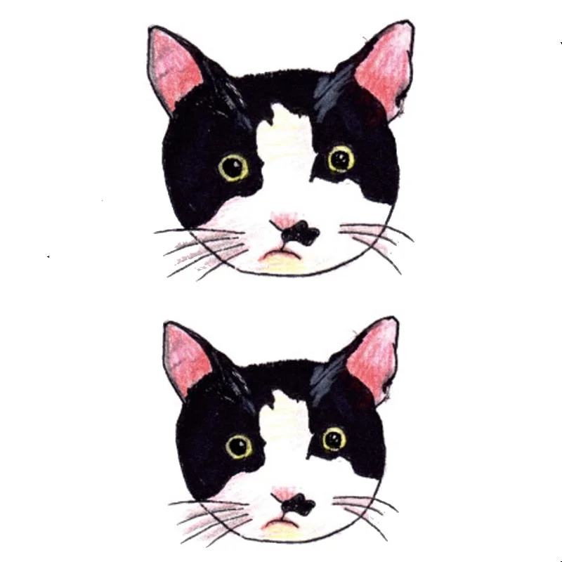 Temporary Tattoo sticker Alice In Wonderland Cheshire Cat Ink painting watercolor flash tatoo fake tatto for men women