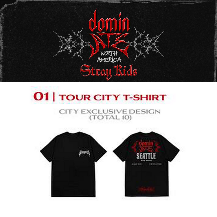 2025 Stray Kids dominATE NORTH AMERICA Tour City T-shirt