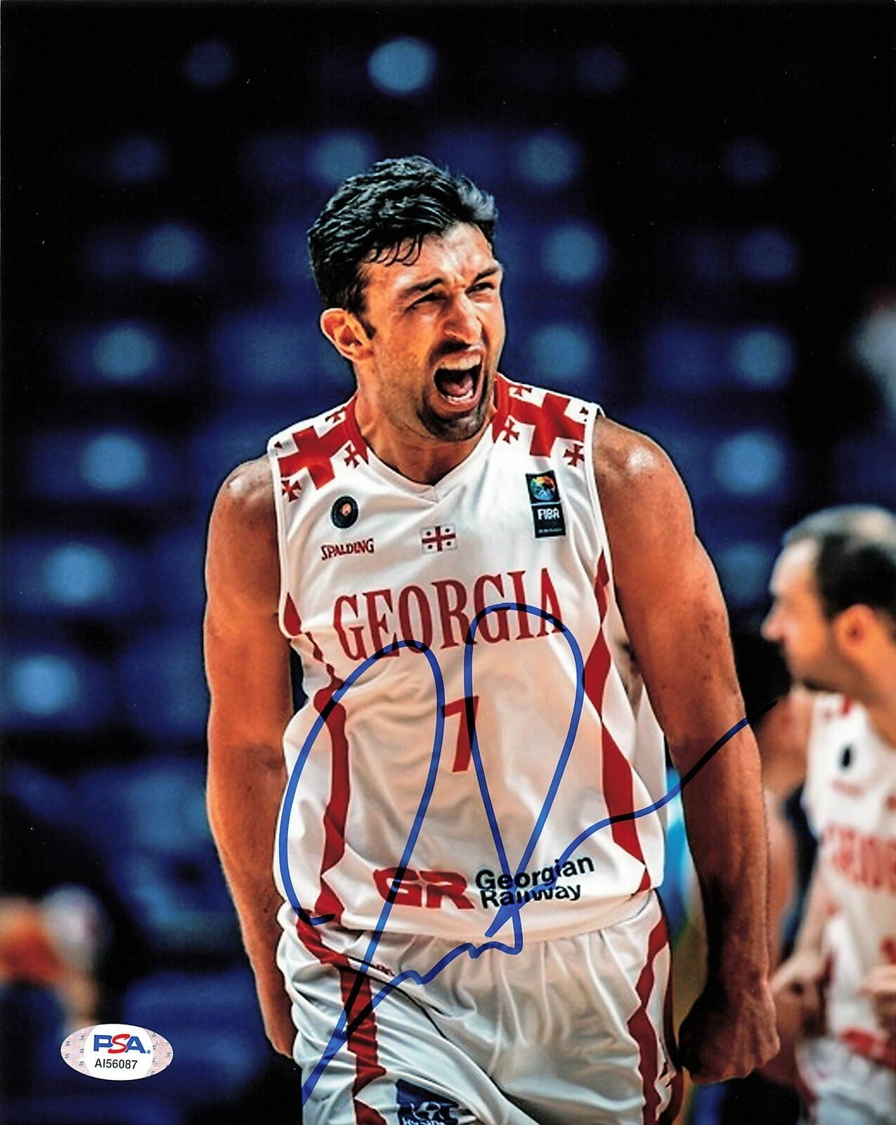 Zaza Pachulia signed 8x10 Photo Poster painting PSA/DNA Georgia Autographed Golden Sate Warriors