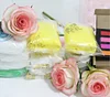 Clay Rose Complete Material Kit Tool Set (with a full set of tutorials）--Makes about 20 roses