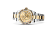 Rolex 326933 Sky-Dweller Champagne-Colour - New