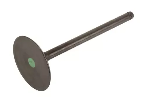 Dronehint GM Genuine Parts 12627971 Engine Intake Valve (For: GMC) Parts