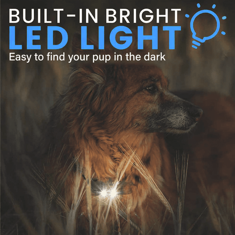 2600ft Remote Dog Training Collar